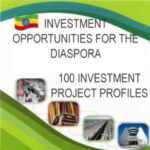 Ethiopia_diasporaInvestment
